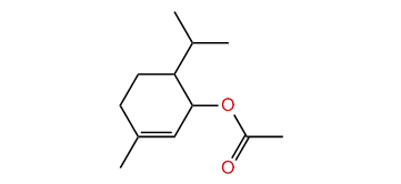 6-Isopropyl-3-methyl-2-cyclohexenyl acetate